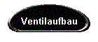 Ventilaufbau